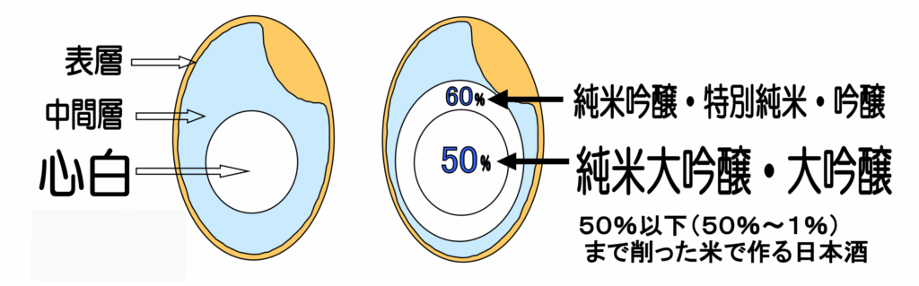 #心白 #精米歩合 #磨き50% #磨き60%